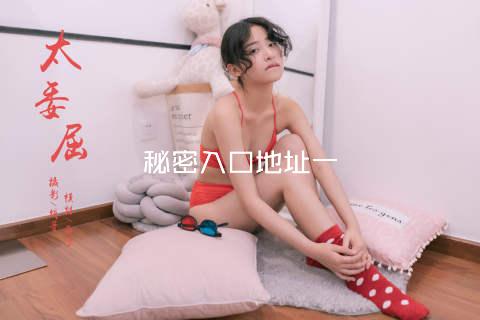 秘密入口地址一